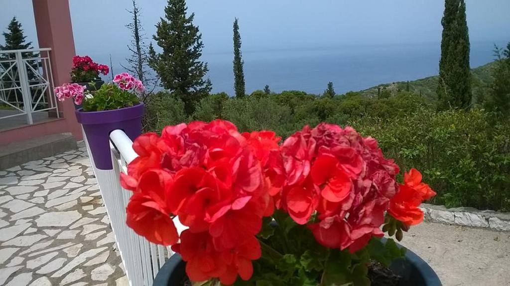 Agnantio Apartment Ayios Nikitas Luaran gambar